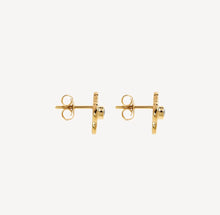 Load image into Gallery viewer, 14ct Yellow Gold Plated Sterling Silver Flower Stud Earrings